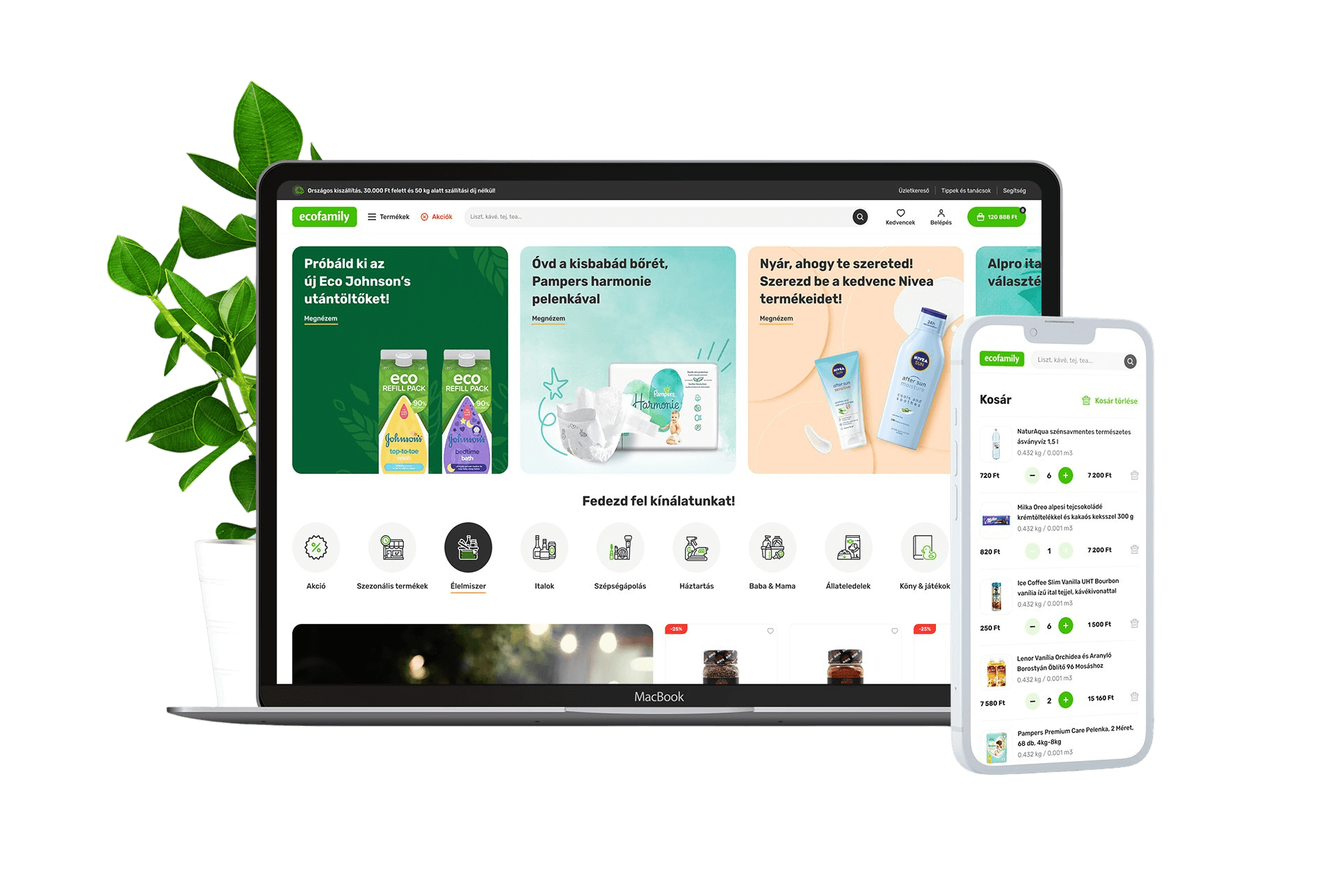 EcoFamily webáruház fejlesztés